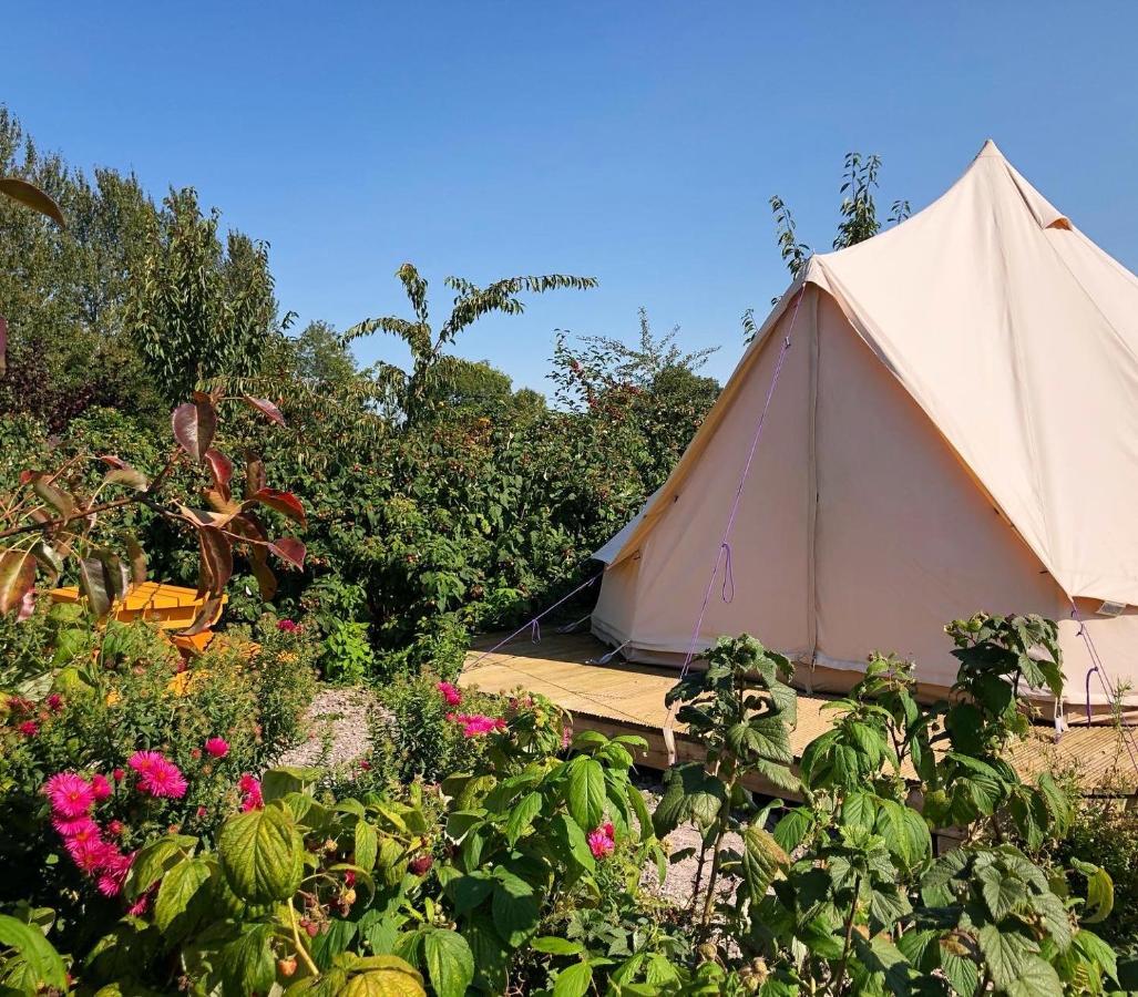 The Holford Arms Chalets And Glamping Hotel Didmarton Buitenkant foto